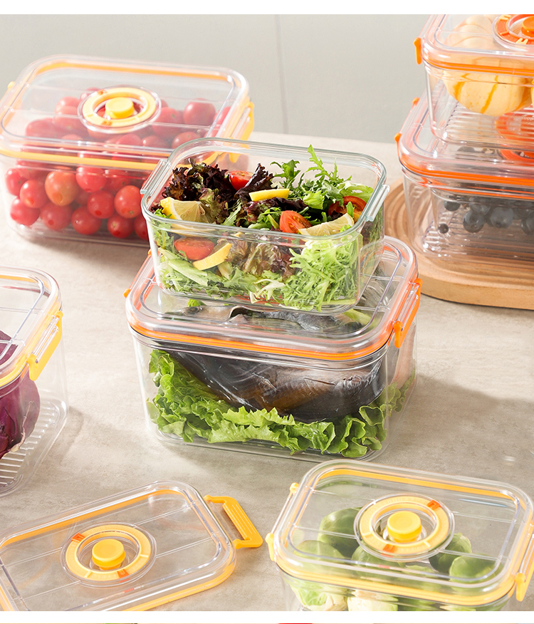 Vacuum Fresh-keeping Box Refri - Commercial Kitchen Shed recensione e prezzo