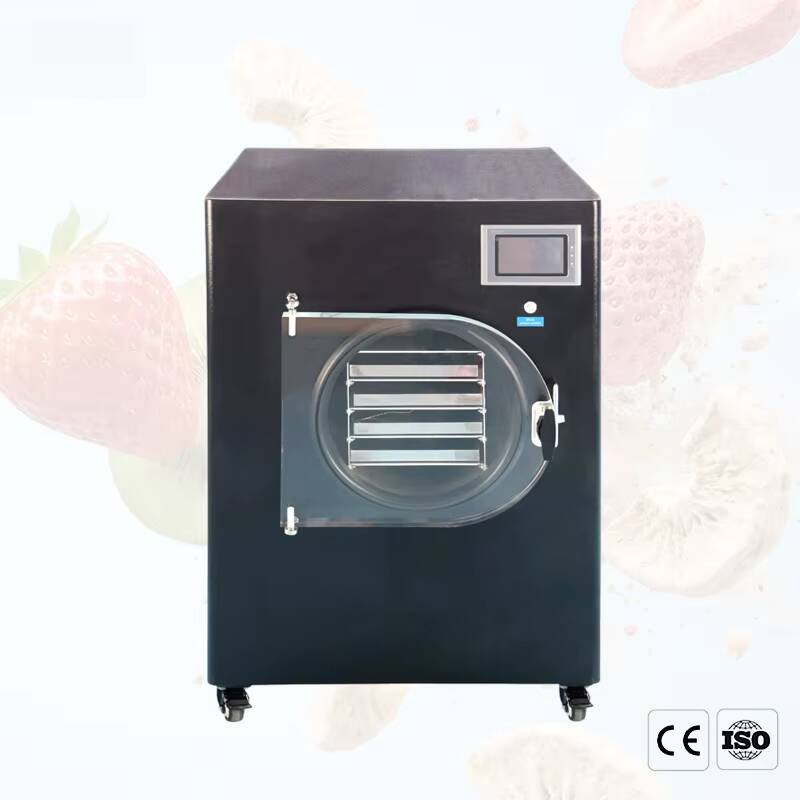 -80°C 6kg/batch Manifold Labor - Vacuum Sealer recensione e prezzo