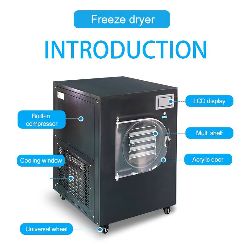 -80°C 6kg/batch Manifold Labor - Vacuum Sealer recensione e prezzo