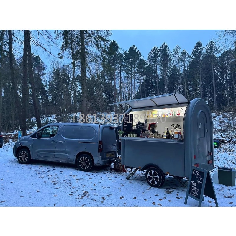 Gourmet Food Truck Trailer for - Commercial Kitchen Vent recensione e prezzo